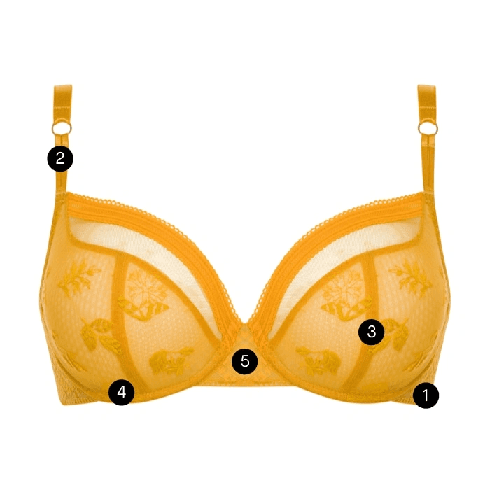 bra parts illustration